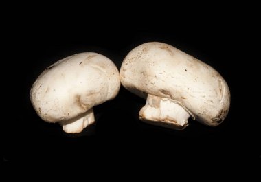 Siyah arkaplanda izole mantarlar