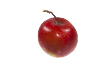 elma beyaz arkaplanda izole edildi