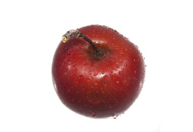 elma beyaz arkaplanda izole edildi