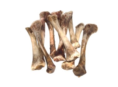 Beyaz arka plan üzerinde izole kemik