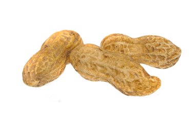 beyaz arkaplanda izole edilmiş fındık