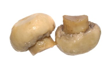 Beyaz arkaplanda izole edilmiş mantarlar