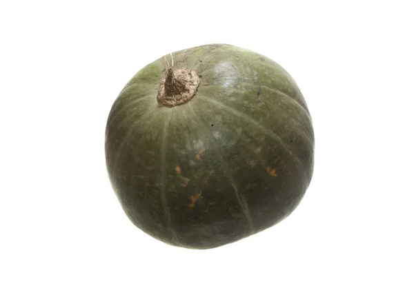 Calabaza aislada sobre fondo blanco —  Fotos de Stock