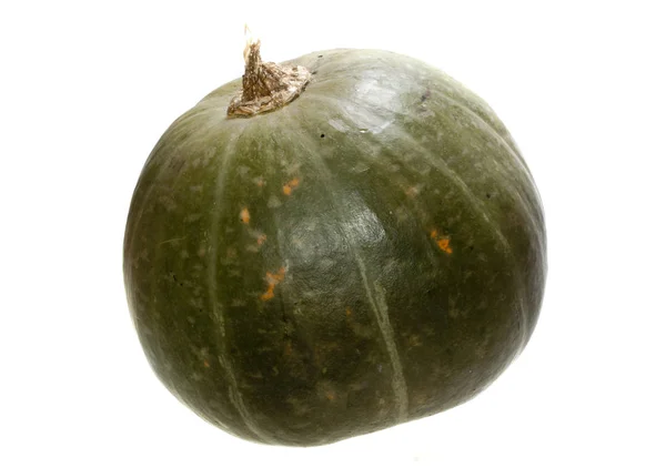 Zucca isolata su sfondo bianco — Foto Stock