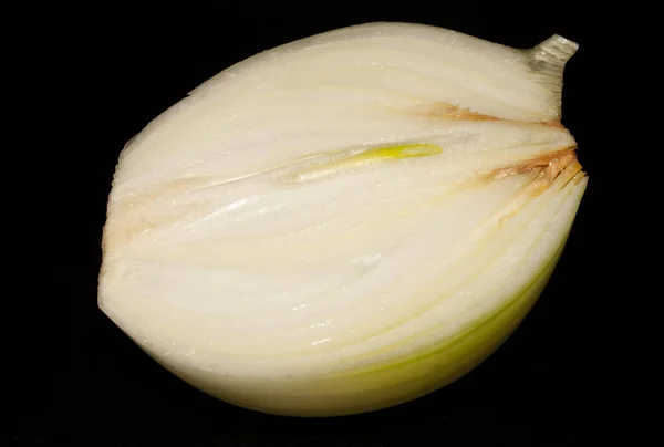 Cebolla aislada sobre fondo blanco — Foto de Stock