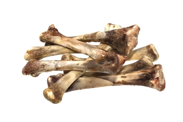 Beyaz arka plan üzerinde izole kemik