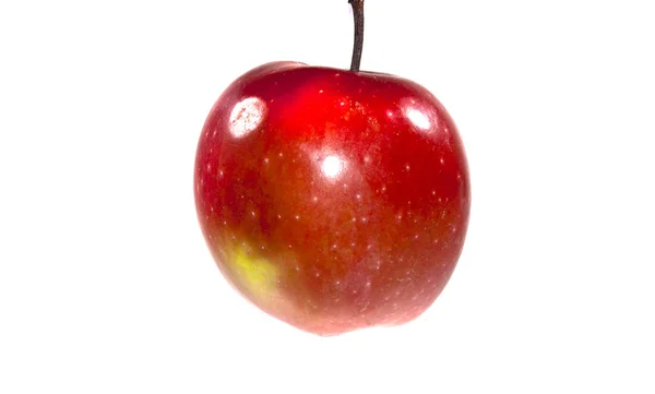 Pomme isolée sur fond blanc — Photo