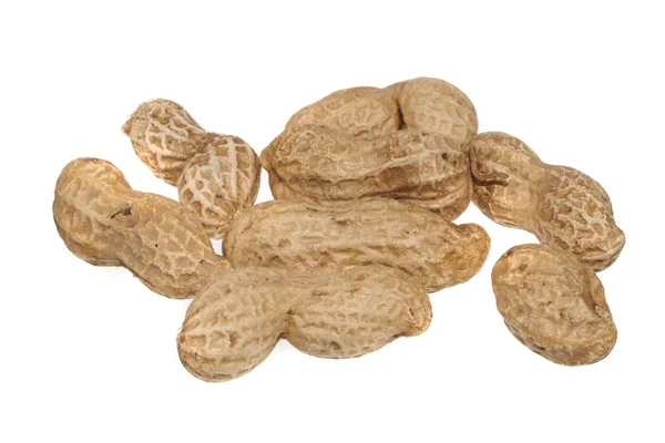 Nut diisolasi di latar belakang putih — Stok Foto