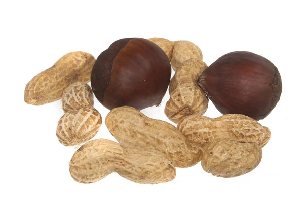 Nut diisolasi di latar belakang putih — Stok Foto