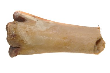 Beyaz arka plan üzerinde izole kemik