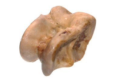 Beyaz arka plan üzerinde izole kemik