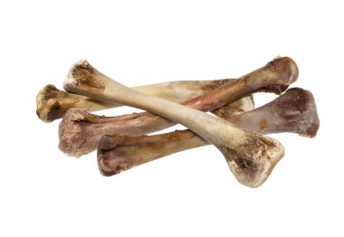 Beyaz arka plan üzerinde izole kemik