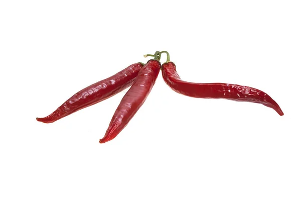 Peperoncino isolato su sfondo bianco — Foto Stock