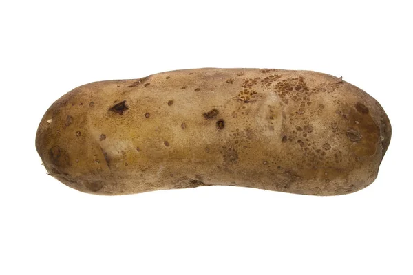 Картопля ізольована на білому тлі — стокове фото