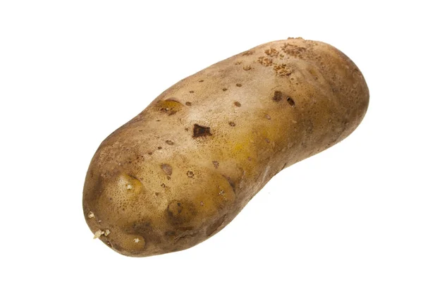 Aardappel geïsoleerd op witte achtergrond — Stockfoto