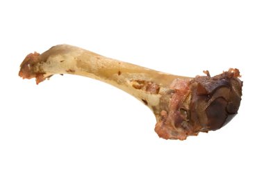 Beyaz arka plan üzerinde izole kemik