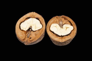 beyaz arkaplanda izole edilmiş fındık