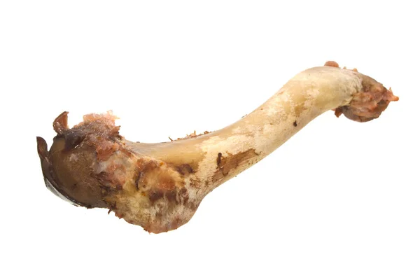 Beyaz arka plan üzerinde izole kemik — Stok fotoğraf