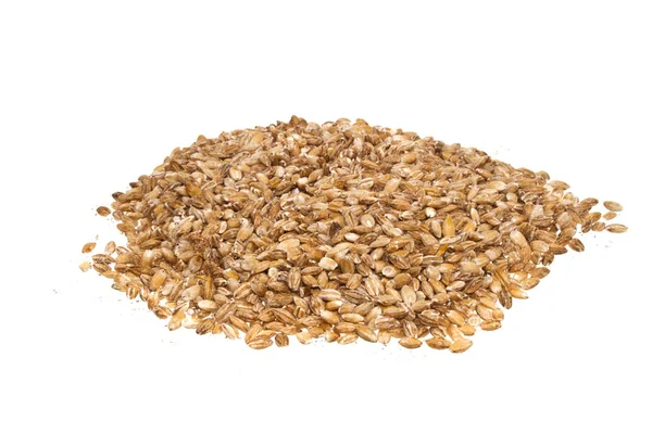 Pšenice izolované na bílém pozadí — Stock fotografie