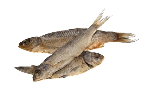 Ryby izolované na bílém pozadí — Stock fotografie
