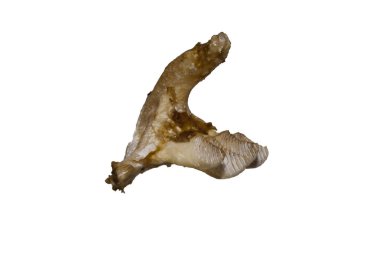 Beyaz arkaplanda izole edilmiş eski dişler