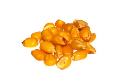 beyaz arkaplanda izole mısır