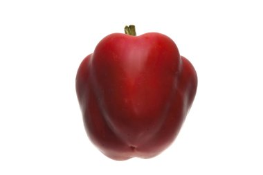 Biber beyaz arkaplanda izole