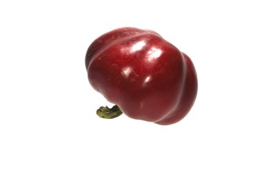 Biber beyaz arkaplanda izole