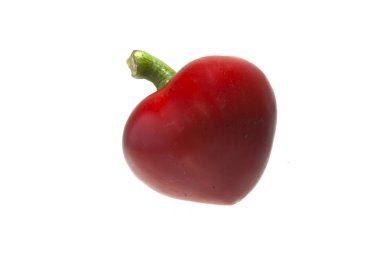 Biber beyaz arkaplanda izole