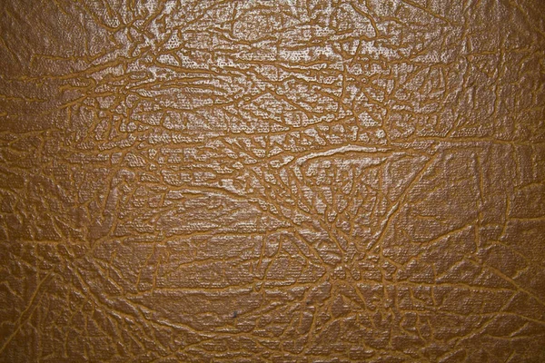Leather background isolated on white background — Stock Photo, Image