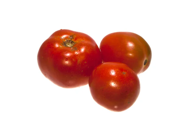 Tomate aislado sobre fondo blanco — Foto de Stock