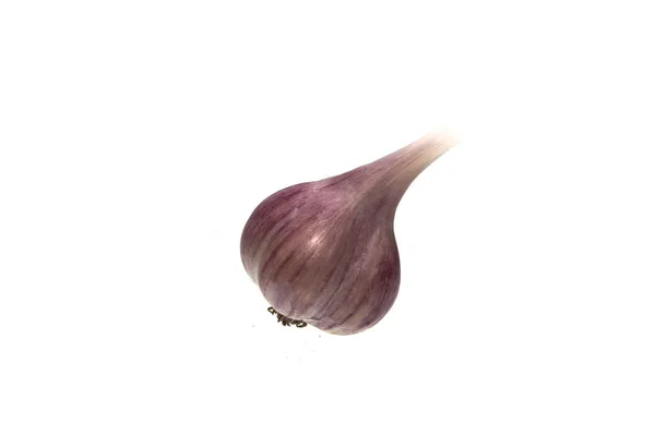 Knoblauch isoliert auf weißem Hintergrund — Stockfoto