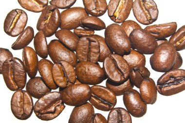 Beyaz arkaplanda izole kahve