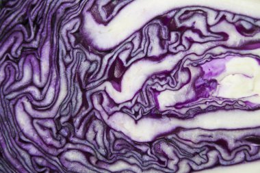 Beyaz arkaplanda kabak izole edilmiş