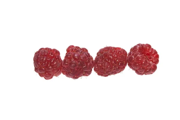 Raspberry isolated on white background — Stock Photo, Image