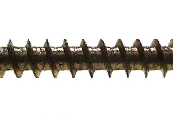 Wood screw isolated on white background — Stock Photo, Image
