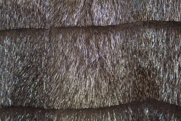 Fragment eines Pelzmantels aus Nutrias — Stockfoto