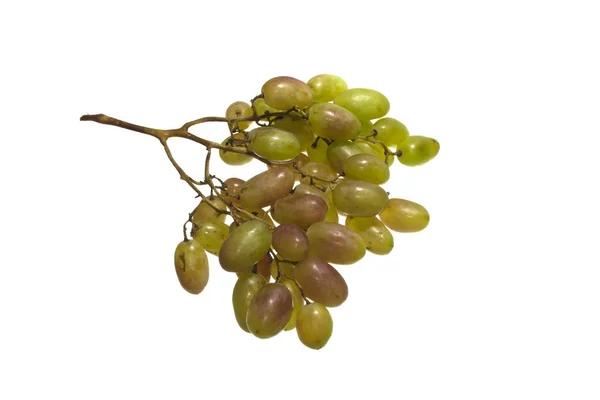 Grapes isolated on white background — Stock Photo, Image
