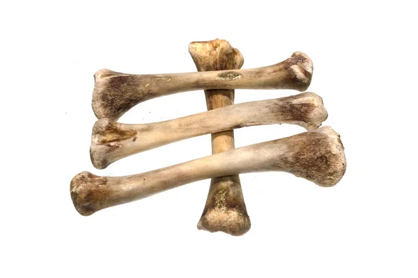 Kemikler beyaz arkaplanda izole