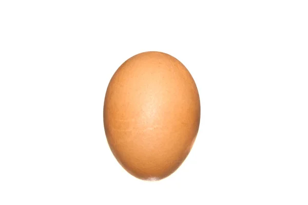 Яйце ізольоване на білому тлі — стокове фото