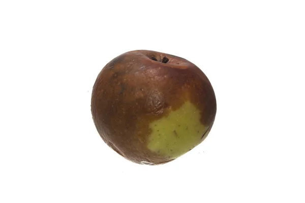 Зіпсоване яблуко ізольоване на білому тлі — стокове фото