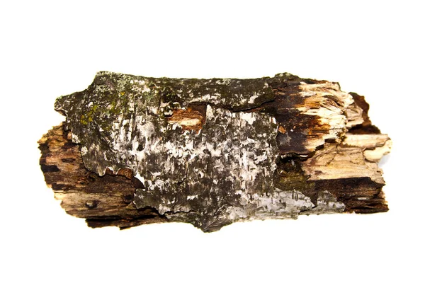 Casca da árvore isolada no fundo branco — Fotografia de Stock