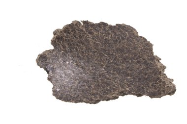 ezilmiş ayçiçeği tohumları beyaz arka planda izole