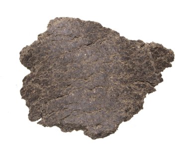 ezilmiş ayçiçeği tohumları beyaz arka planda izole