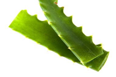 Beyaz arka plan üzerinde izole aloe yaprak