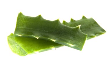 Beyaz arka plan üzerinde izole aloe yaprak