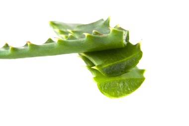 Beyaz arka plan üzerinde izole aloe yaprak
