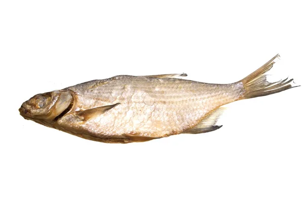 Peixe seco isolado sobre fundo branco — Fotografia de Stock