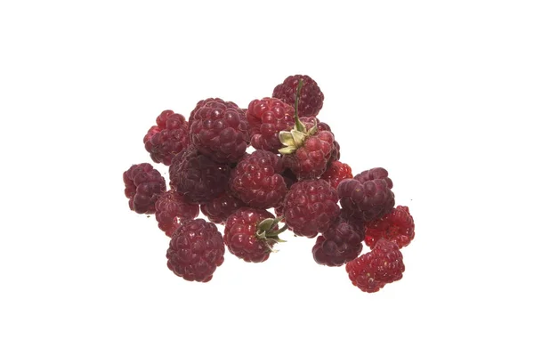Raspberry isolated on white background — Stock Photo, Image