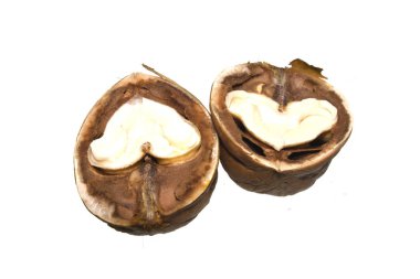 beyaz arkaplanda izole edilmiş ceviz